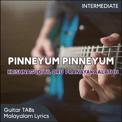 Pinneyum Pinneyum (Krishnagudiyil oru Pranayakaalathu) Guitar TABs